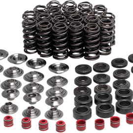 Valve Spring Kit