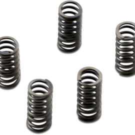 Clutch Springs