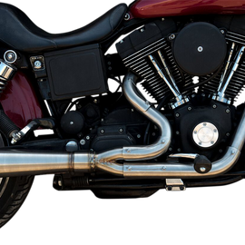 Assault 2:1 Exhaust - Full Stainless - '91-'05 Dyna