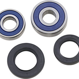 Wheel Bearing Kit - Rear