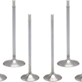 Valve Kit - M8