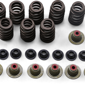 Valve Spring Kit