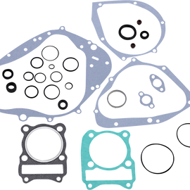 Gasket Set with oil seal - DRZ200
