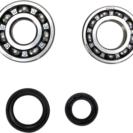 Crank Bearing and Seal Kit