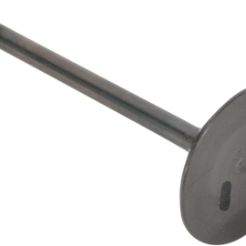 Intake Valve