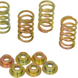 Clutch Spring Kit