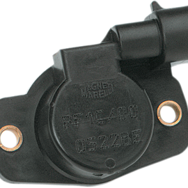 Throttle Position Sensor