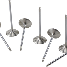 Intake Valve Kit