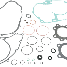 Motor Gasket Kit with Seal - ATC/TRX