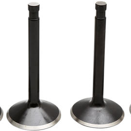 Valve Kit - XL