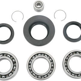 Differential Bearing/Seal Kit - Honda - Rear
