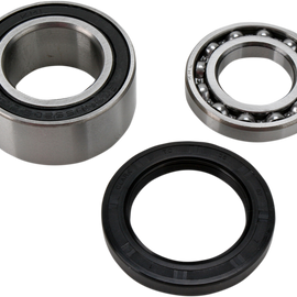 Chain Case Bearing and Seal Kit