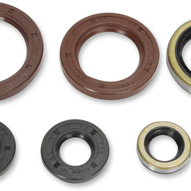 Oil Seals