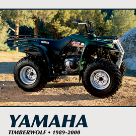 Manual - Yamaha YFB 250 Timberwolf