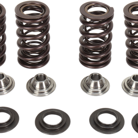 Valve Spring Kit