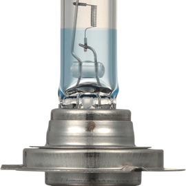 Headlight Bulb - PVG H7 - 55W