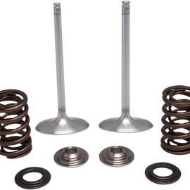 Intake Valve Kit