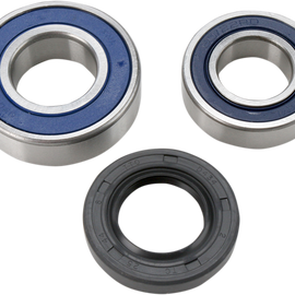 Chain Case Bearing and Seal Kit