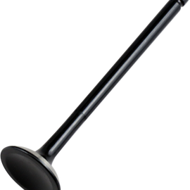 Exhaust Valve