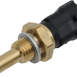 EFI Temperature Sensor