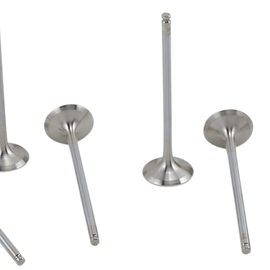 Exhaust Valve Kit