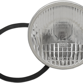 5-3/4" Quartz Light