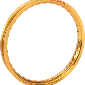 Rim - Gold - 1.60 X 10" - 28 Hole