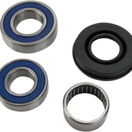 Chain Case Bearing and Seal Kit