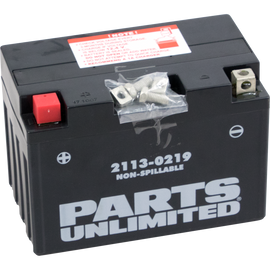 AGM Battery - YT12A-BS