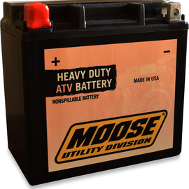 AGM Battery - GYZ16H