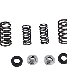 Intake Valve Kit