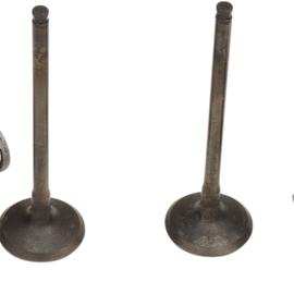 Valve and Spring Kit