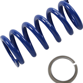 Rear Spring - Blue - Sport Series - Spring Rate 649.58 lbs/in