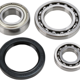 Chain Case Bearing and Seal Kit