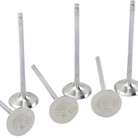 Exhaust Valve Kit