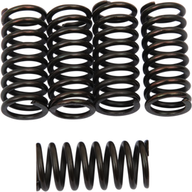 Clutch Springs