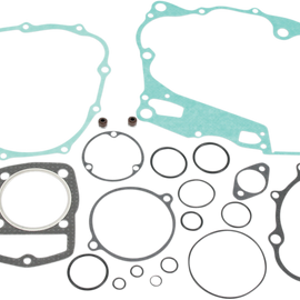 Motor Gasket Kit with Seal - CRF230