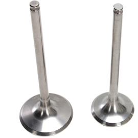 Valve Kit