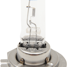 Halogen Bulb - H7 - 55 W