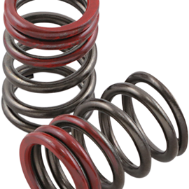 Exhaust Valve Springs