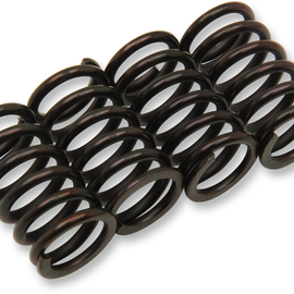 Clutch Spring Kit