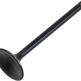 Exhaust Valve