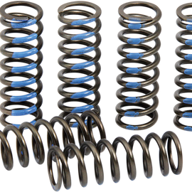 Clutch Springs