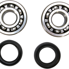 Crank Bearing and Seal Kit