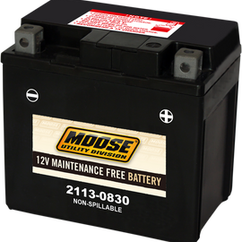 AGM Battery - CTZ7S