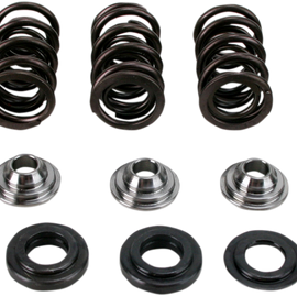 Valve Spring Kit