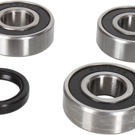 Wheel Bearing Kit - Rear