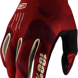 iTrack Gloves - Terra - Large