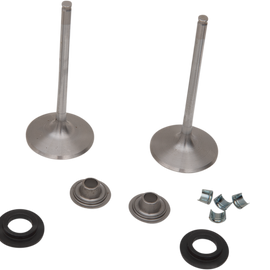 Intake Valve Kit