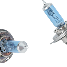 Bulb - P43T Blue - 55/60 W - Pair